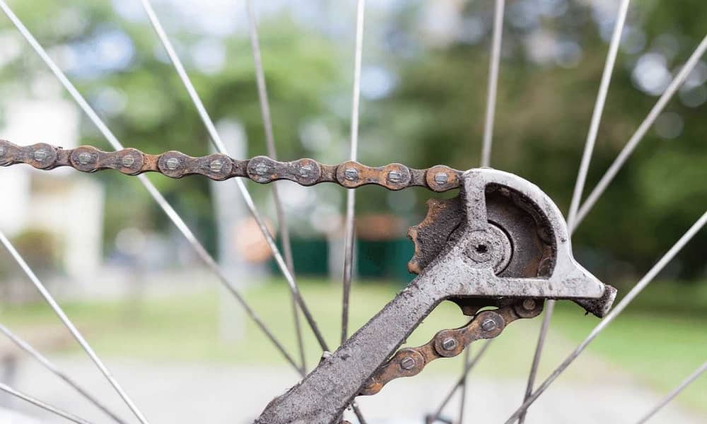 clean rusty bike chain