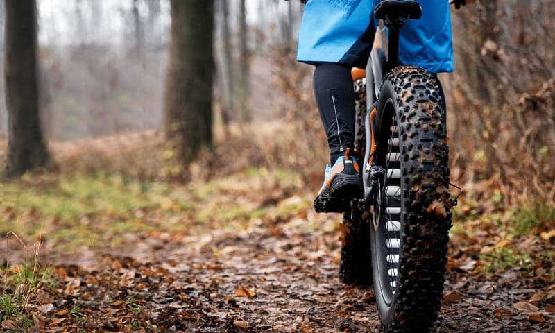Buying Guide for Best Fat Bikes under 2000